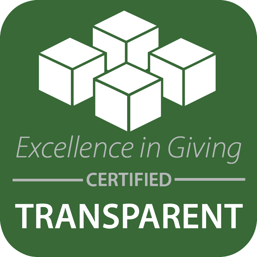 Logo - Excellence in Giving