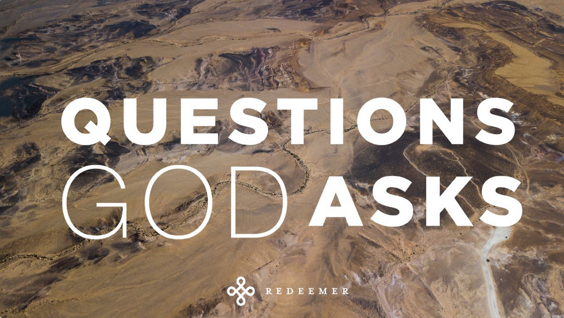 Sermon Series: Questions God Asks
