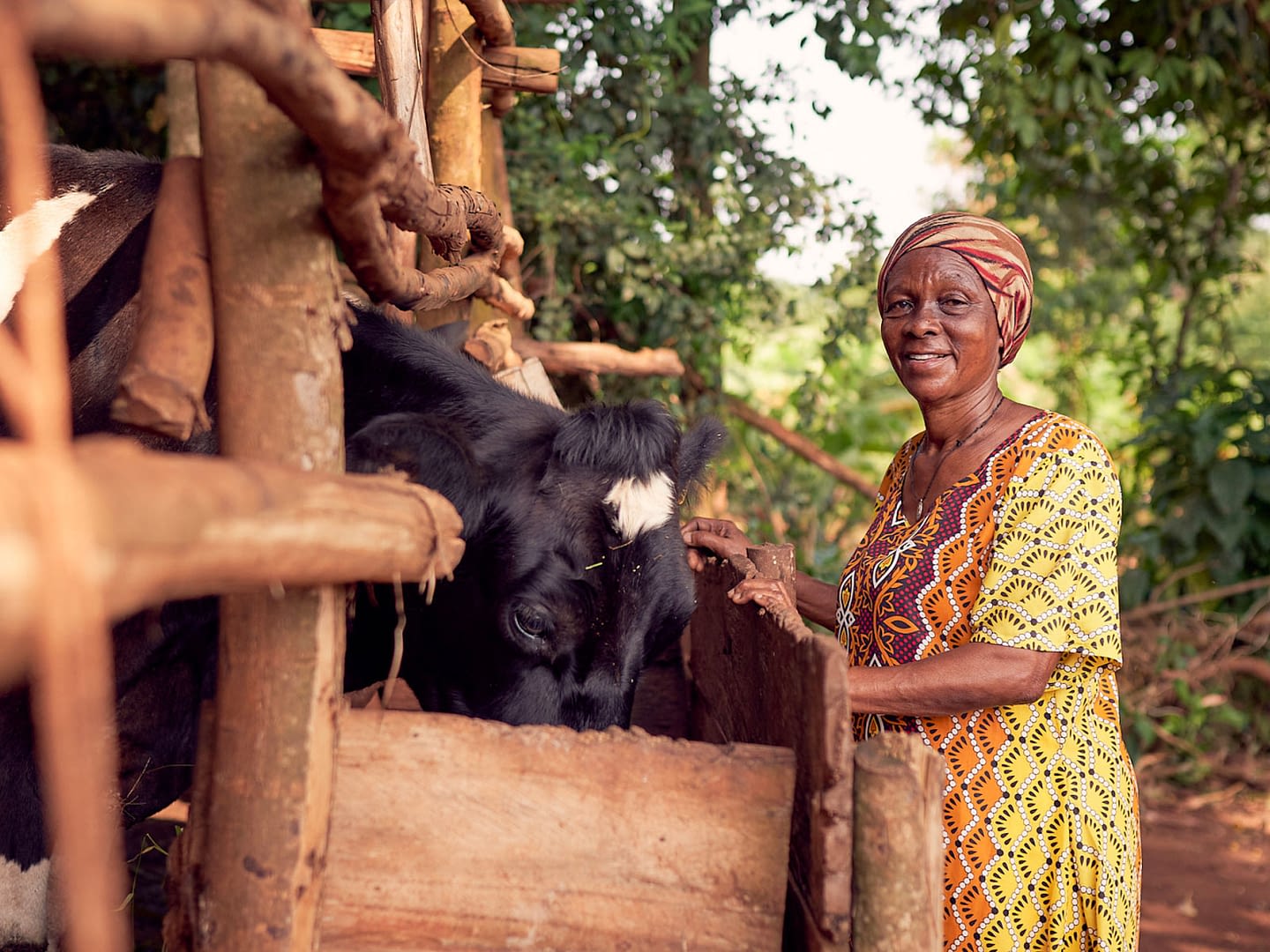 Woman smiling next to her cow which is feeding at a trough