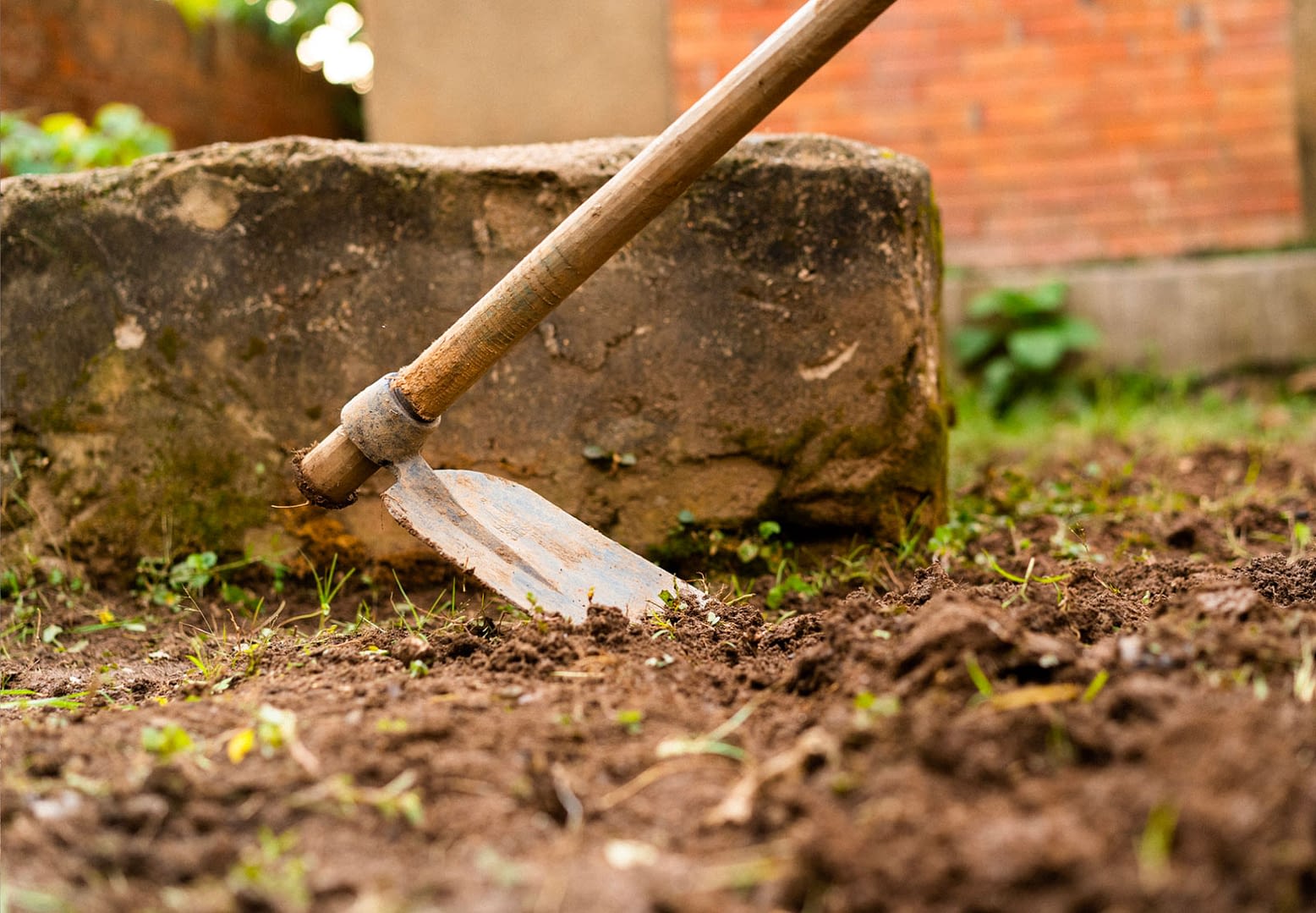 A garden hoe being used on the soil