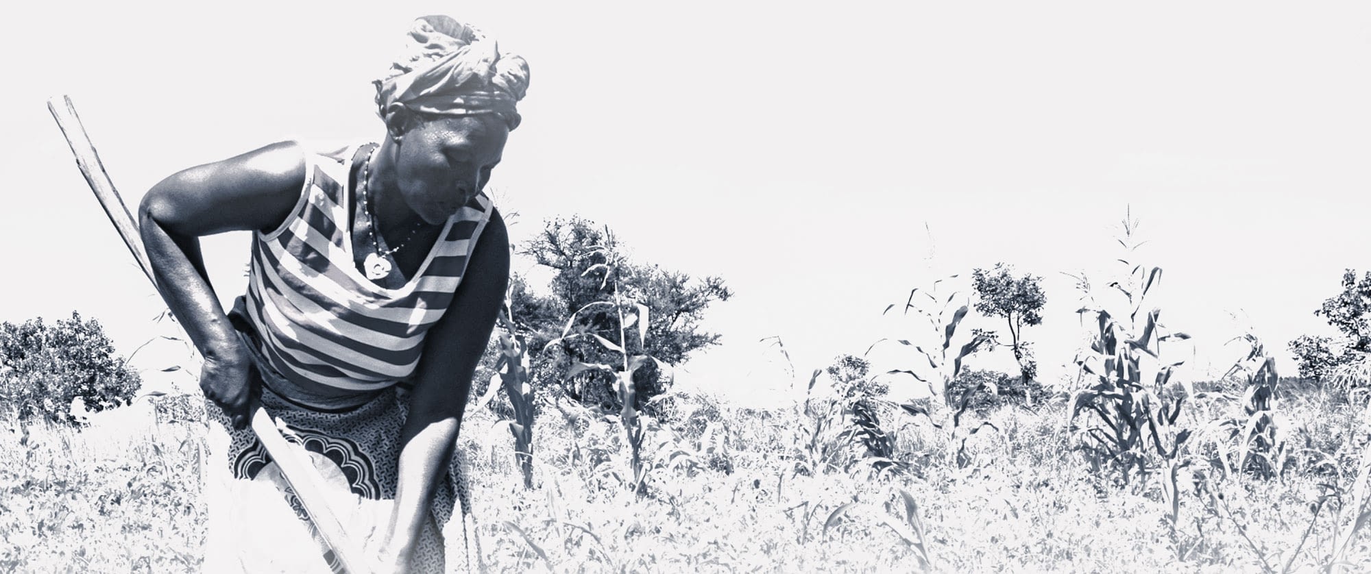 Stylized image of a woman working in a field with a tool