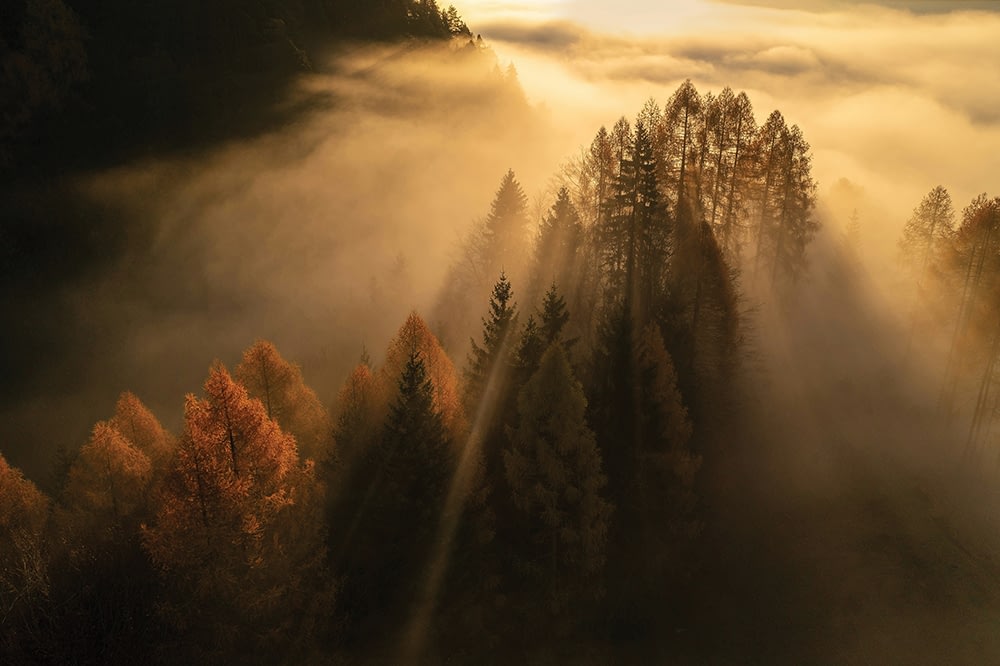 ales krivec jwritsg8ghs unsplash