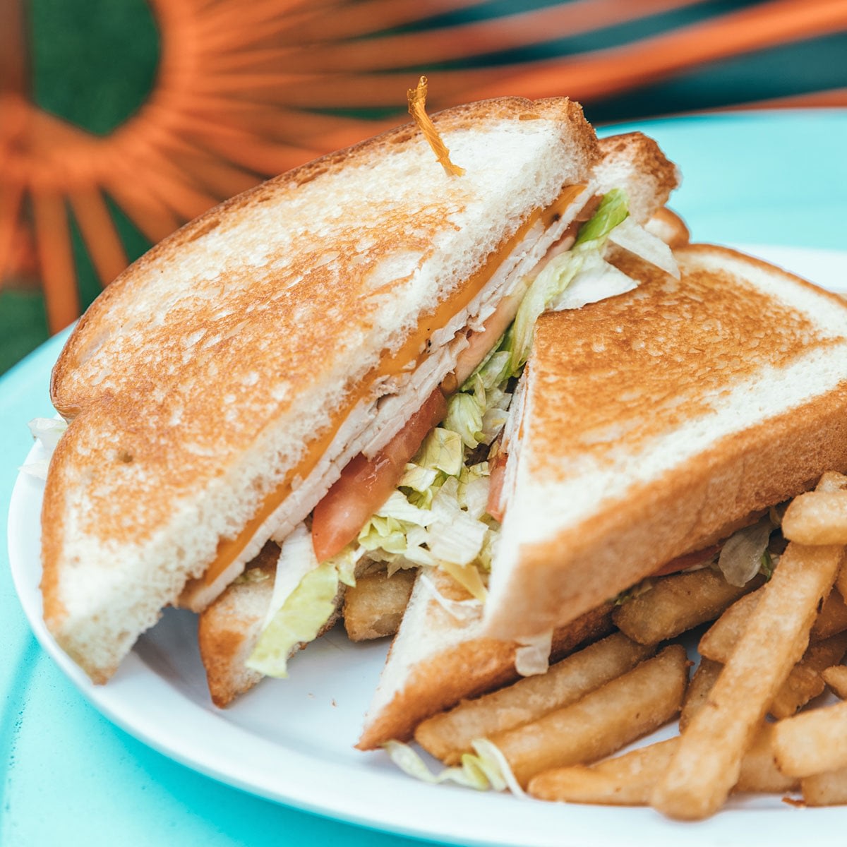 Plate with delicious looking sandwich and fries