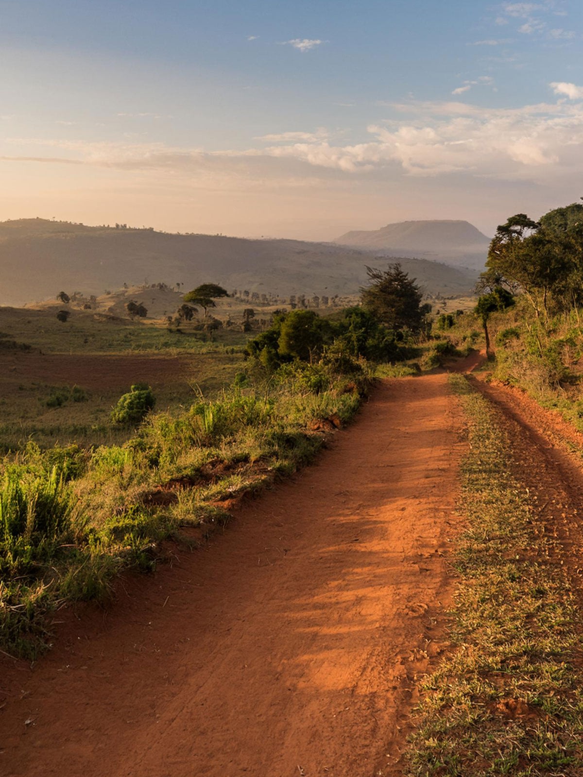 Dirt road through scenic countryside landscape at sunset.