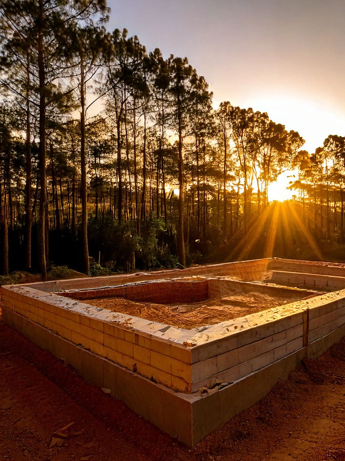 Sunset over forest and building foundation