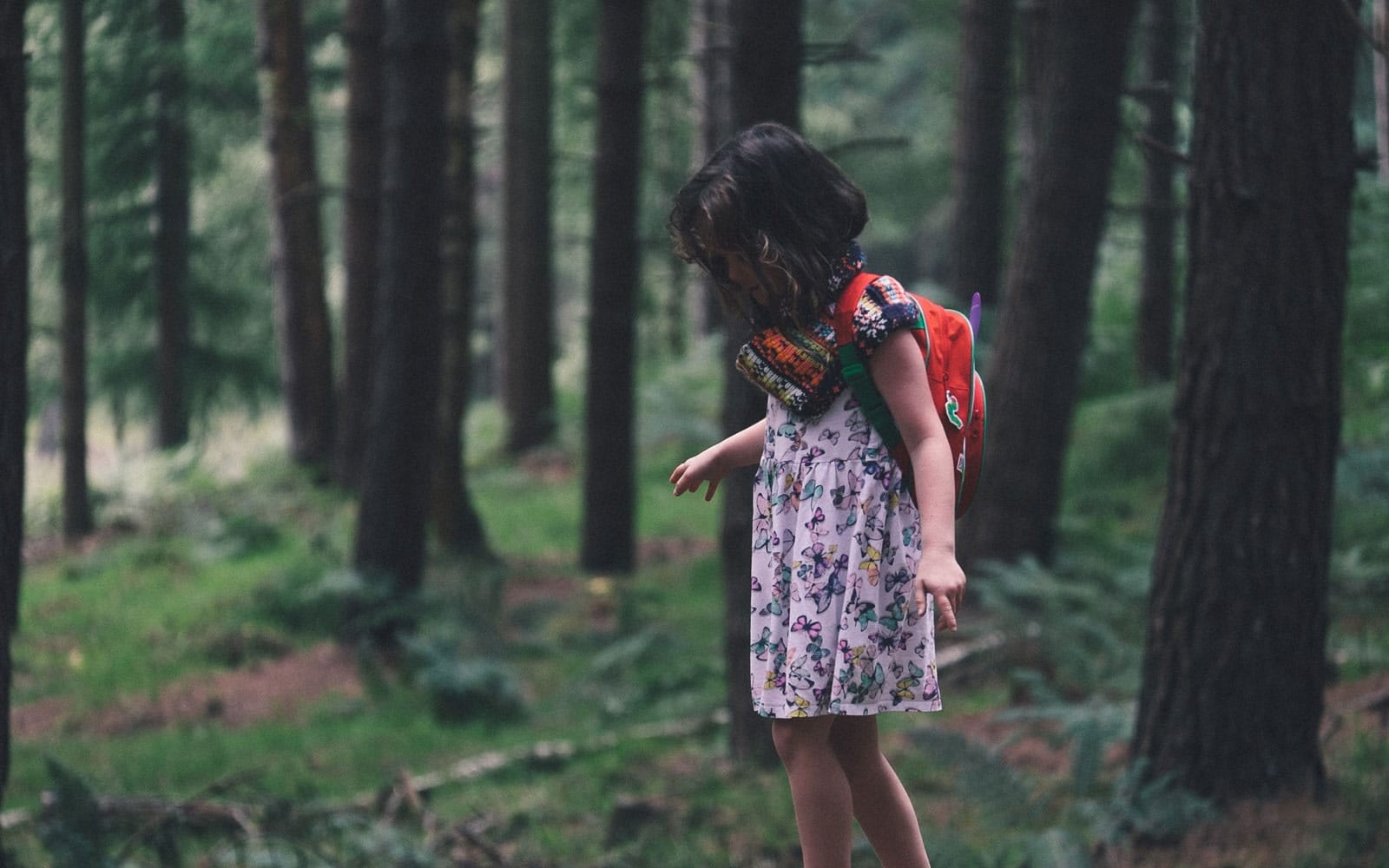 Child exploring forest with red backpack