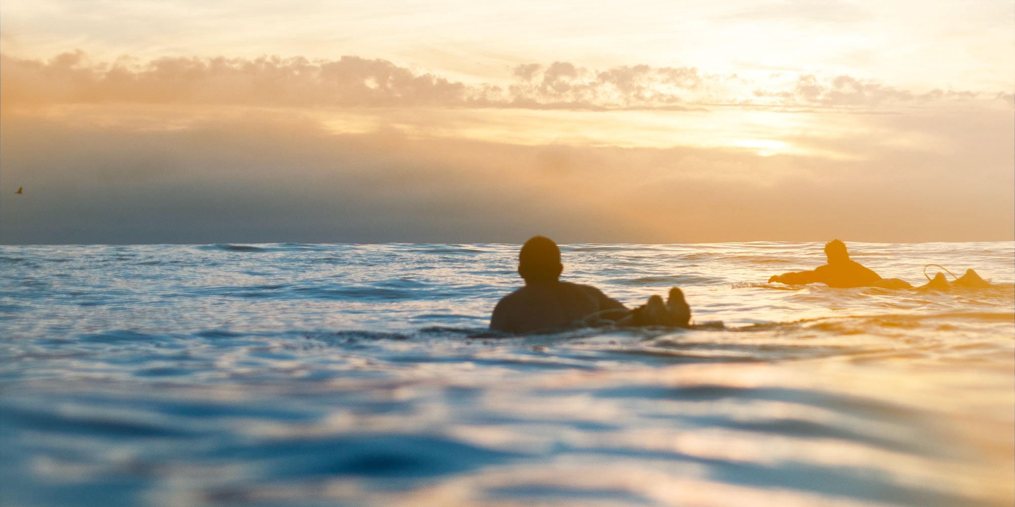 Surfers bobbing on the water at sunset