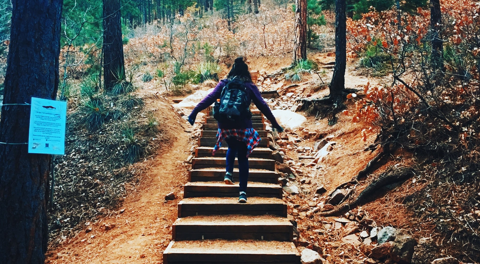 Hiker climbing wooden steps in forest trail