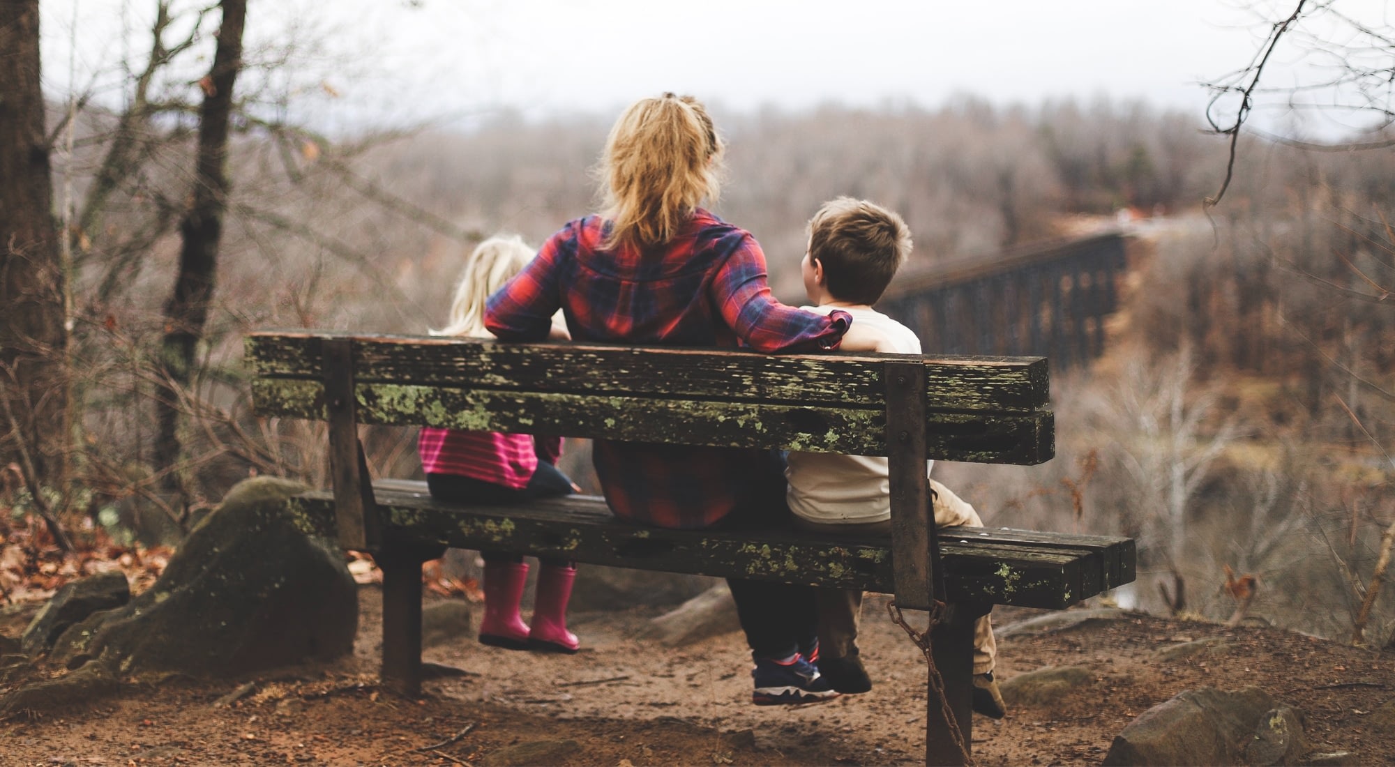 Family sitting on bench overlooking forest valley
