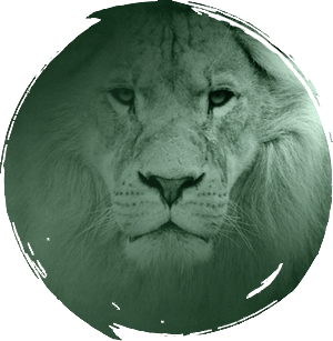 Lion Graphic