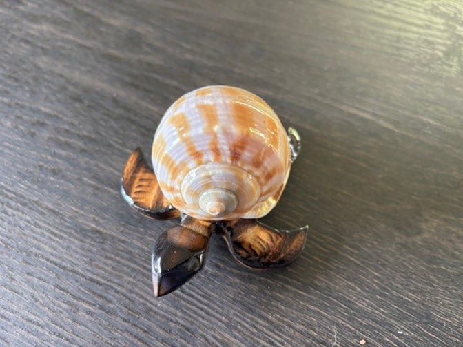 turtle